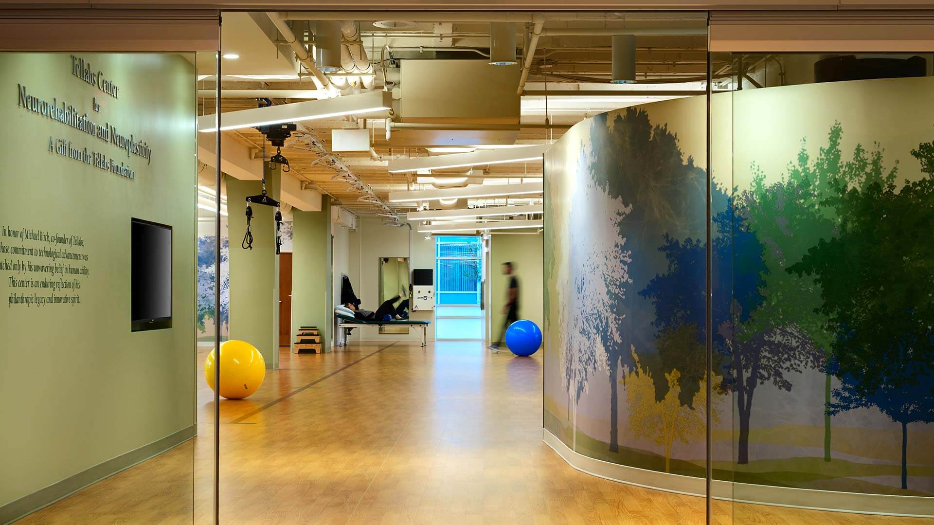 Tellabs Center for Neurorehabilitation and Neuroplasticity – Eckenhoff ...